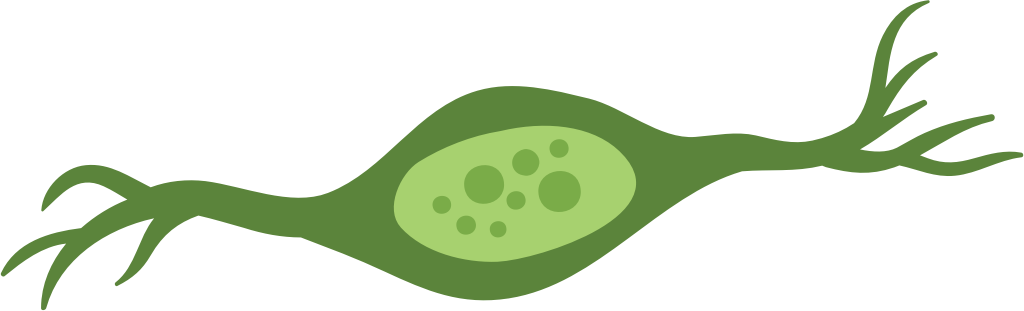 Neuron vector