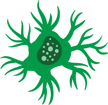 Neuron vector