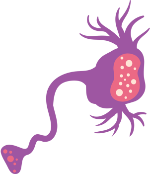 Neuron vector