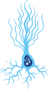 Neuron vector