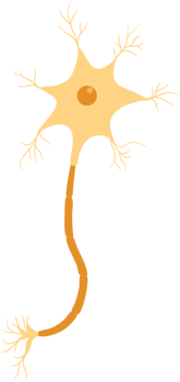 Neuron vector