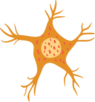 Neuron vector