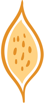 Neuron vector