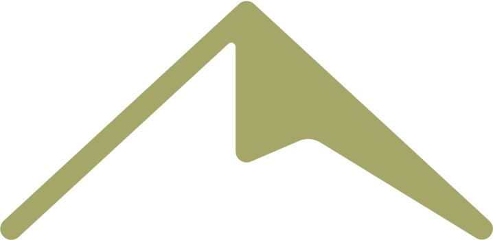 Mountain vector