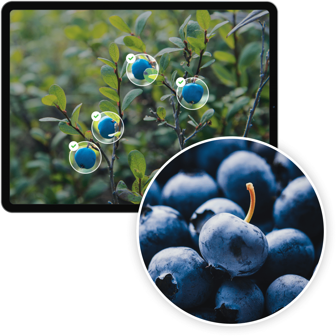 AI Reverse Image Search From Vecteezy ai-reverse-image-search-from-vecteezy