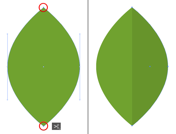 how to illustrate avocado
