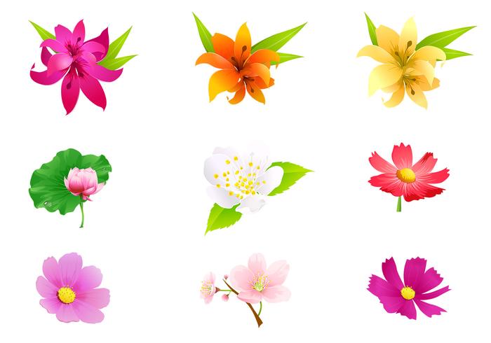 Tropical Flower Vector Pack Tropical Flower Vector Pack