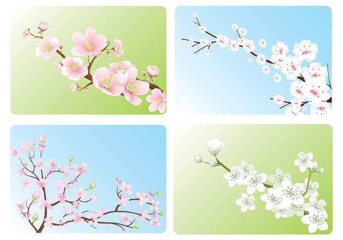 Cherry Blossom Wallpaper Vector Pack Cherry Blossom Wallpaper Vector Pack