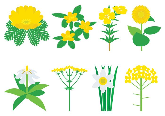 Yellow Flowers Vector Pack Yellow Flowers Vector Pack