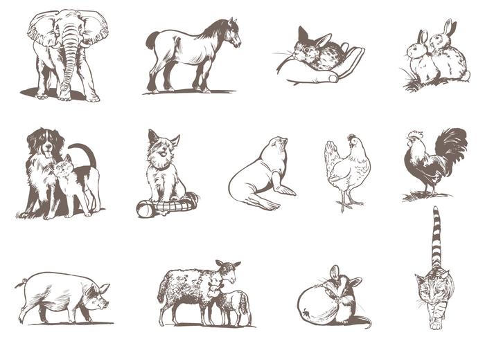 Pets and Zoo Animal Vector Pack Pets and Zoo Animal Vector Pack