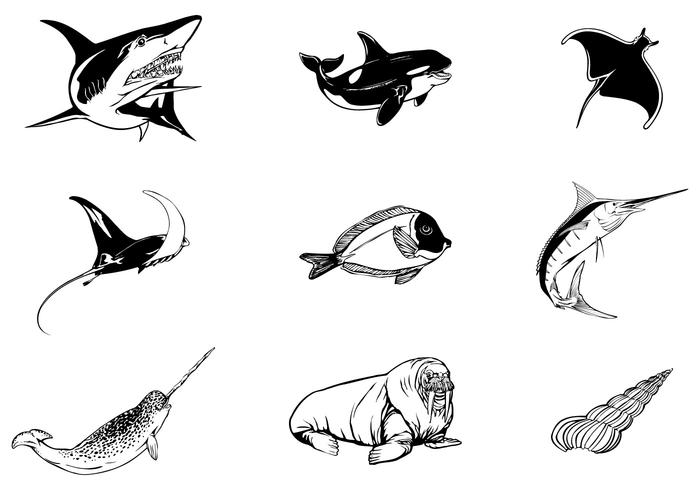 Sea Animal Vector Pack Sea Animal Vector Pack