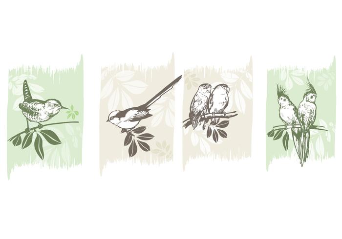 Birds on Branches Vector Pack Birds on Branches Vector Pack