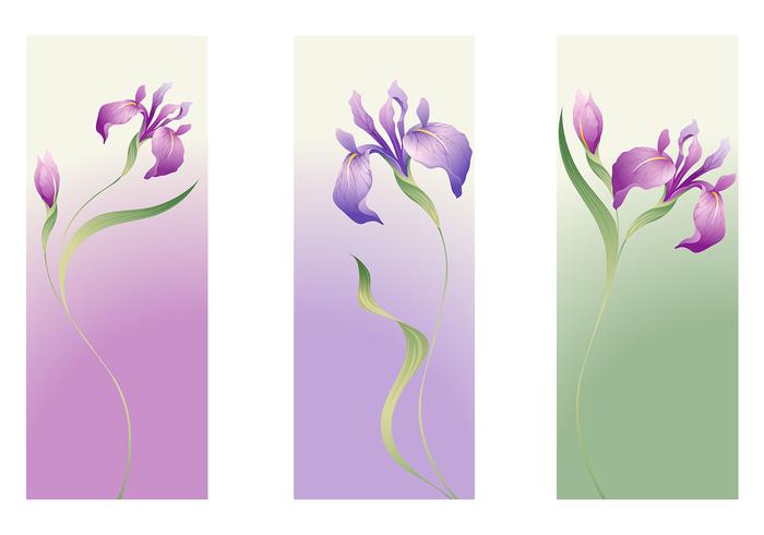 Free Free 115 Iris Flower Svg SVG PNG EPS DXF File
