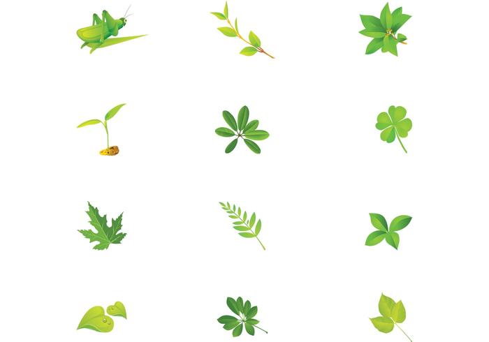 Green Leaves Vector Pack Green Leaves Vector Pack