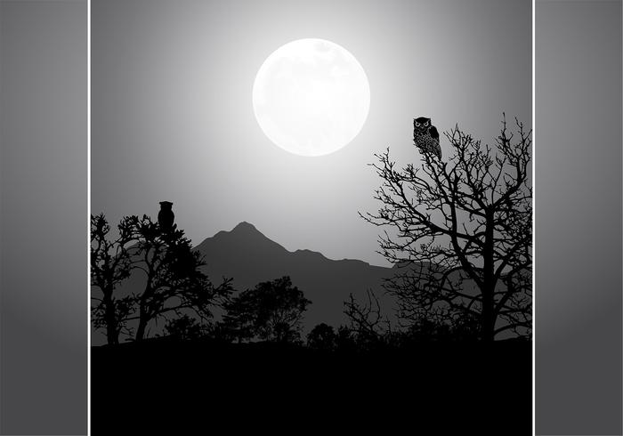 Owl By Night Full Moon Vector Background Owl By Night Full Moon Vector Background