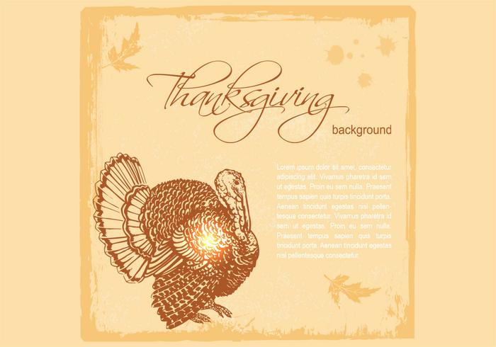 Thanksgiving Turkey Vector Background Thanksgiving Turkey Vector Background