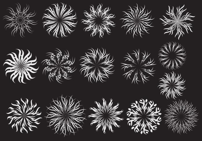 Ornate Spiral Vector Pack Ornate Spiral Vector Pack