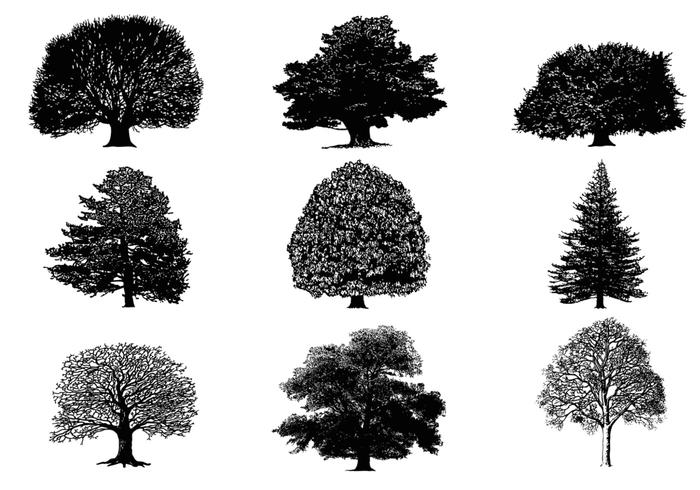 Silhouette Tree Vector Pack Silhouette Tree Vector Pack