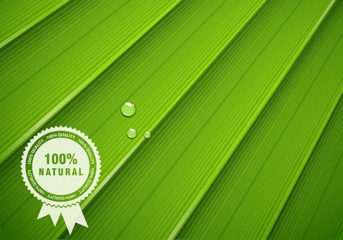 Green Leaf Vector Texture Green Leaf Vector Texture