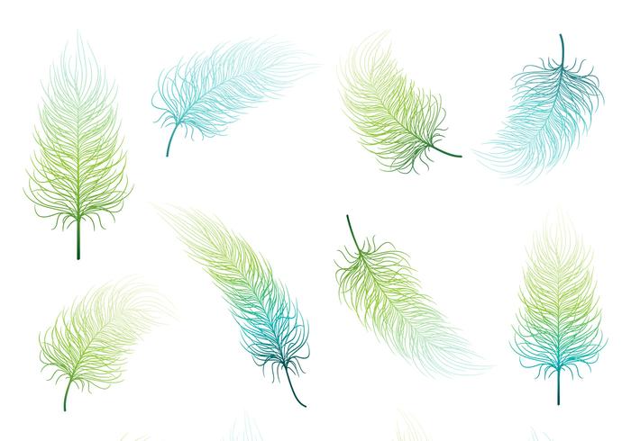 Blue Green Feather Vector Set Blue Green Feather Vector Set