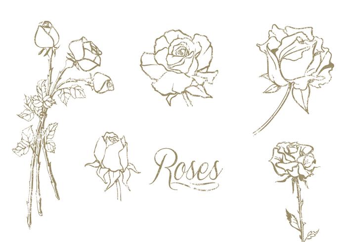 Hand Drawn Roses Vector Set Hand Drawn Roses Vector Set
