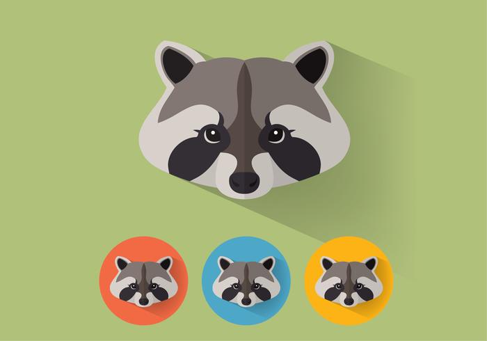Raccoon Vector Portraits Raccoon Vector Portraits