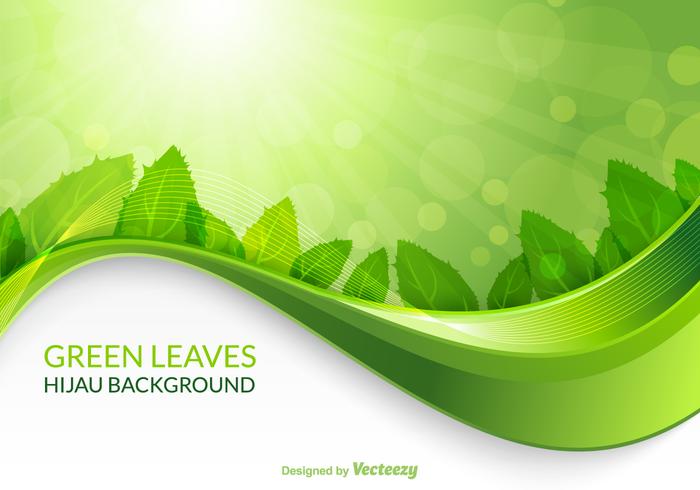 Vector Green Leaves Hijau Background Vector Green Leaves Hijau Background