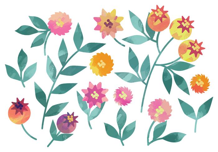 Vector Watercolor Rosehip Elements Vector Watercolor Rosehip Elements