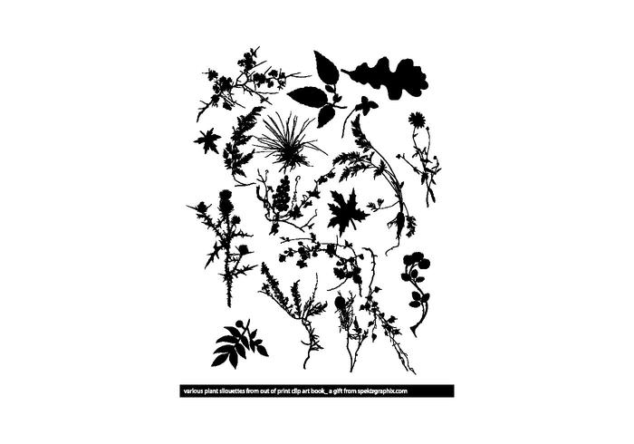 SP3KTR_FLORAL SP3KTR_FLORAL