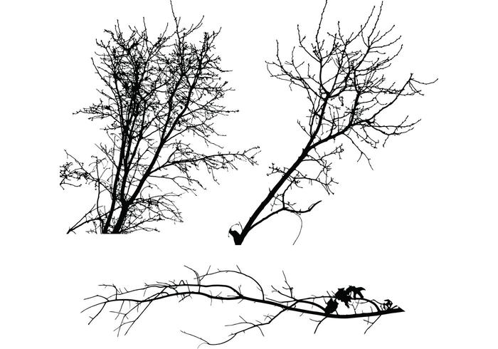 Tree Silhouettes Tree Silhouettes