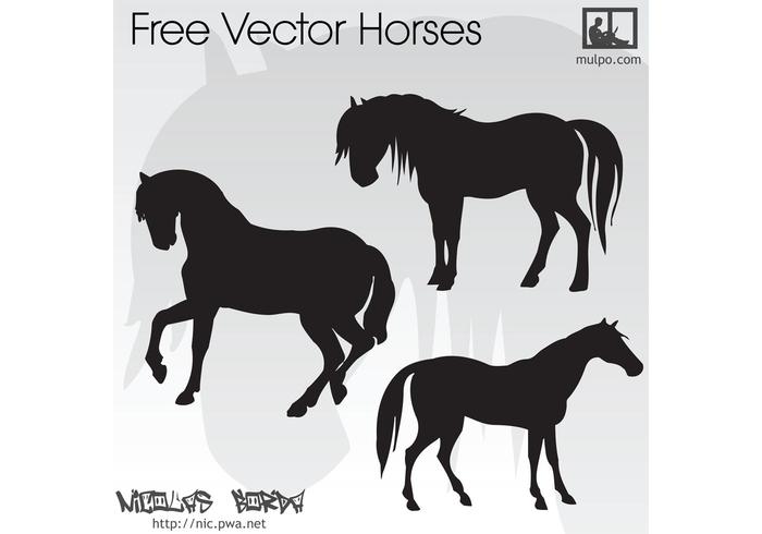 Free Vector Horses Free Vector Horses