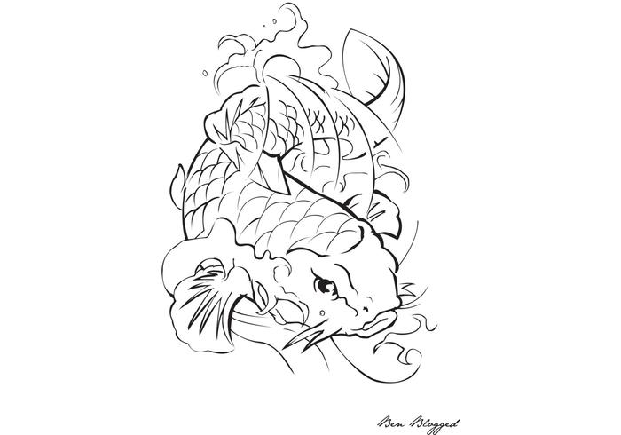 Coi Fish - Tattoo Coi Fish - Tattoo