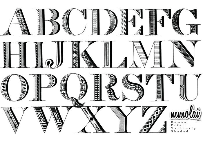 Vector Typeface : RPVS Vector Typeface : RPVS