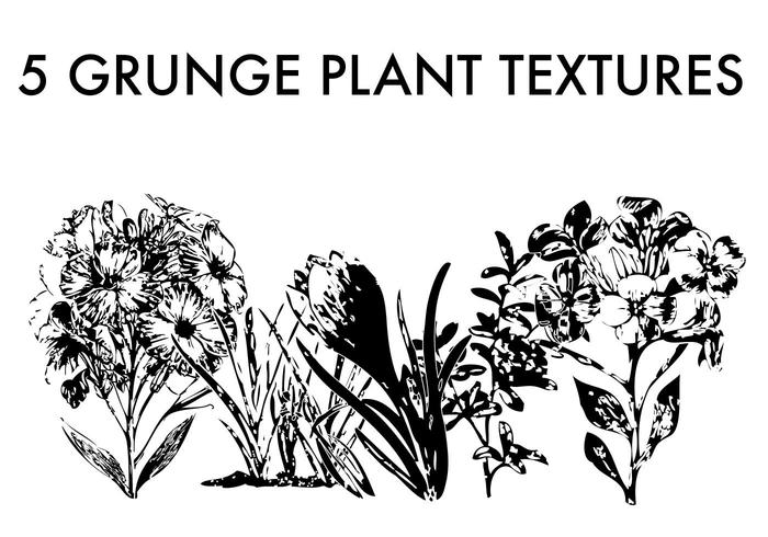 5 Grunge Plant Textures by LVF 5 Grunge Plant Textures by LVF