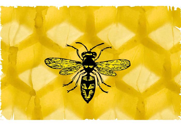 Bee and Honeycomb Bee and Honeycomb