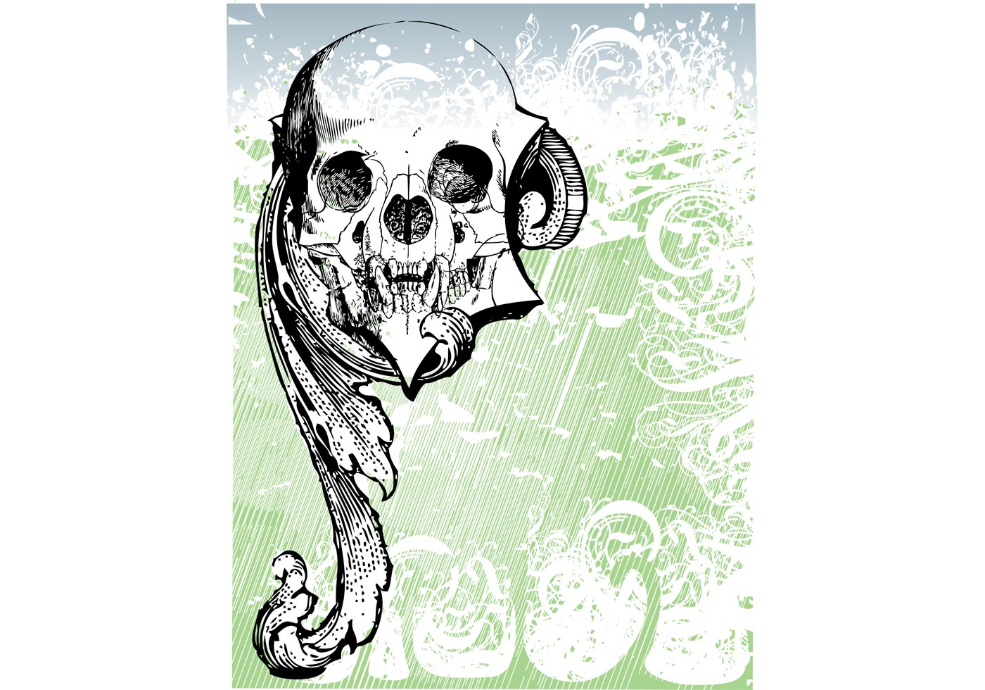 Free Money skull Vector - Download Free Vector Art, Stock Graphics & Images
