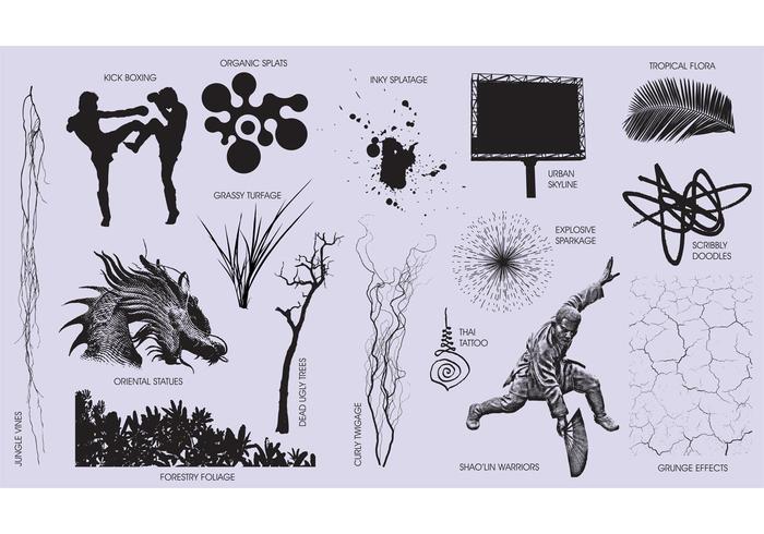 Vector CoolKit Sampler Vector CoolKit Sampler