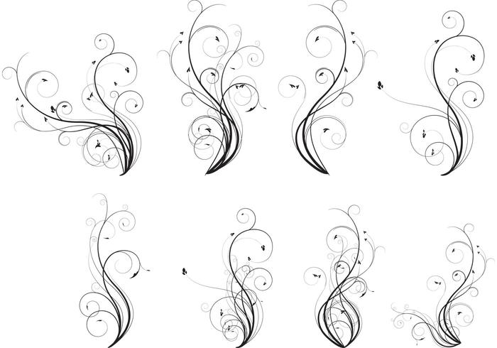Vector Flourish Pack Vector Flourish Pack