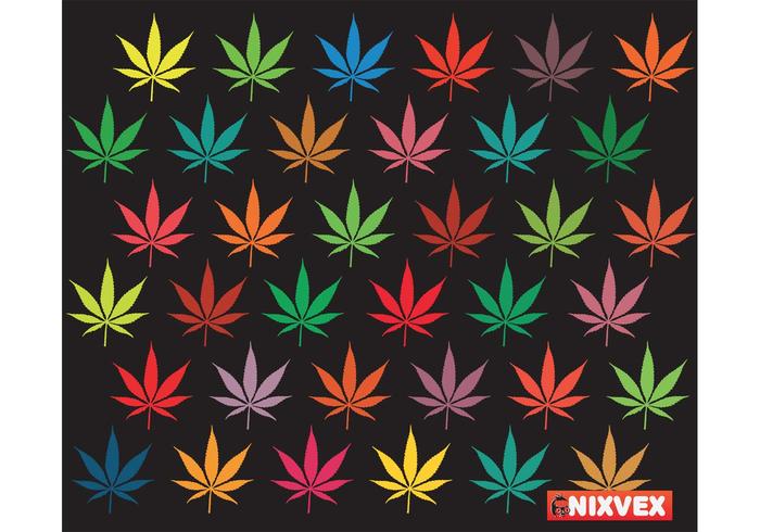 NixVex Free Vector of Colorful Leaves NixVex Free Vector of Colorful Leaves
