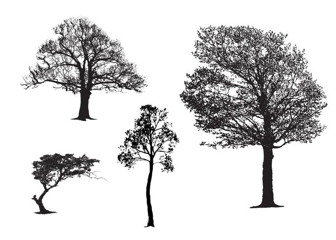 Tree Master Pack Tree Master Pack