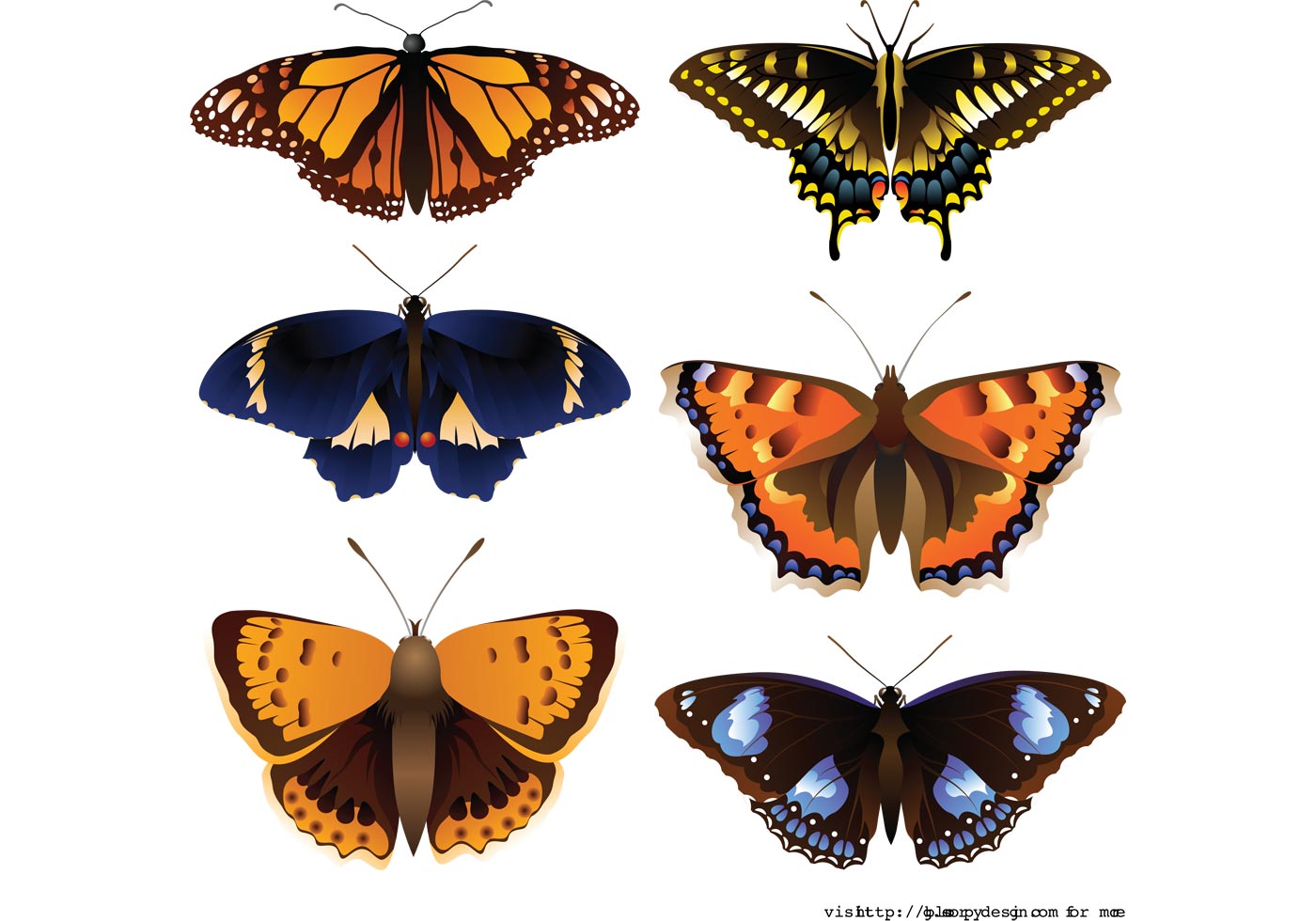 Download Vector butterfly - Download Free Vector Art, Stock ...