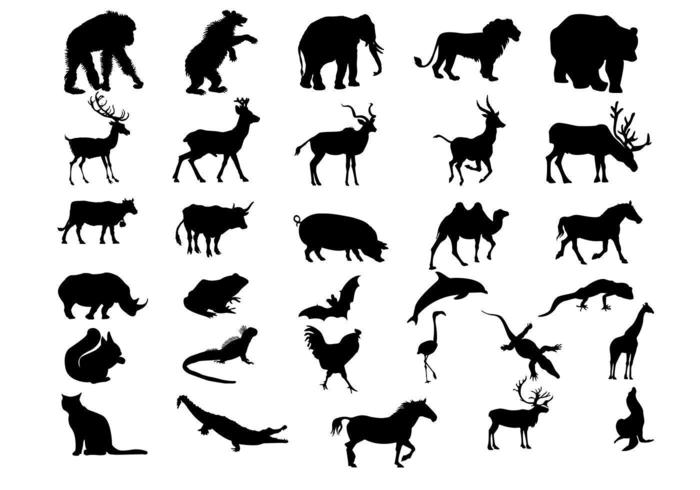 Amazing Animal Silhouette Vectors 6657 Vector Art at Vecteezy Amazing Animal Silhouette Vectors 6657 Vector Art at Vecteezy