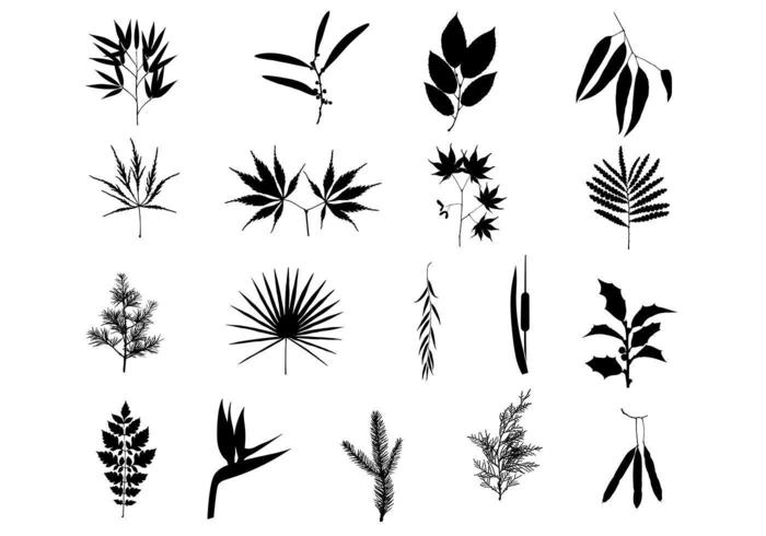 Beautiful Branches Vector Pack