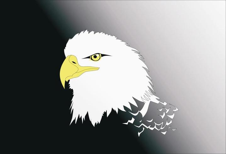 Vector Eagle Head Vector Eagle Head