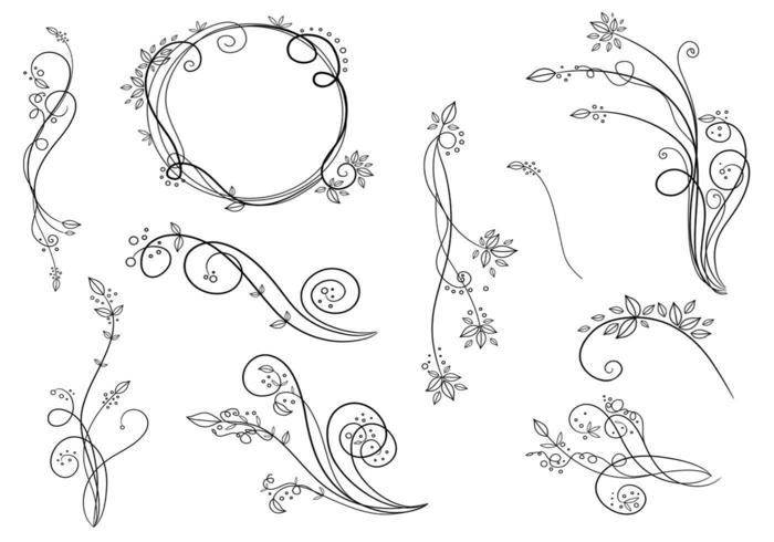 Floral Vector Swirls Pack