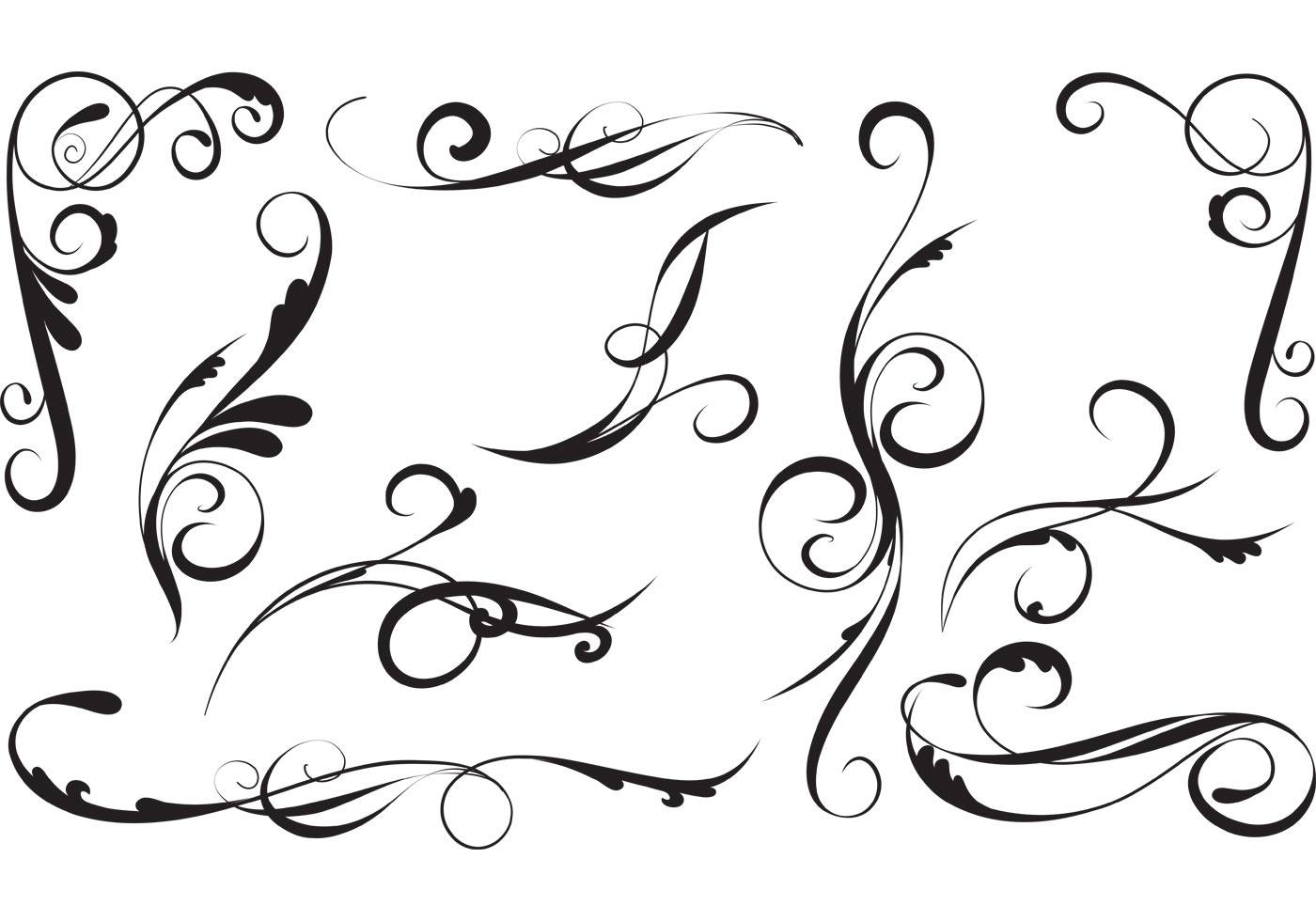 Elegant Vector Swirls Pack 6831 - Download Free Vectors, Clipart