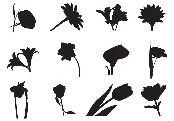 free field flowers free field flowers