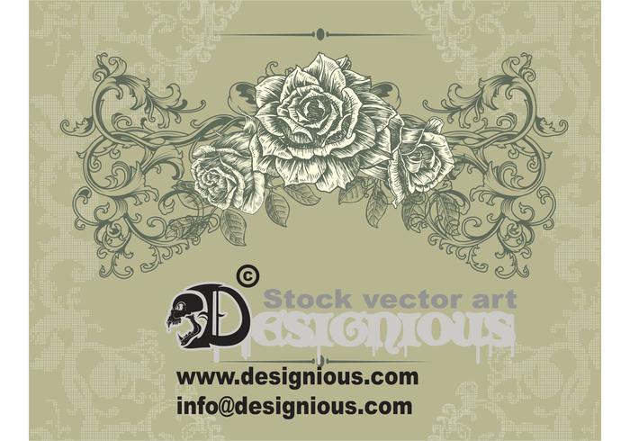 vintage floral illustration vintage floral illustration