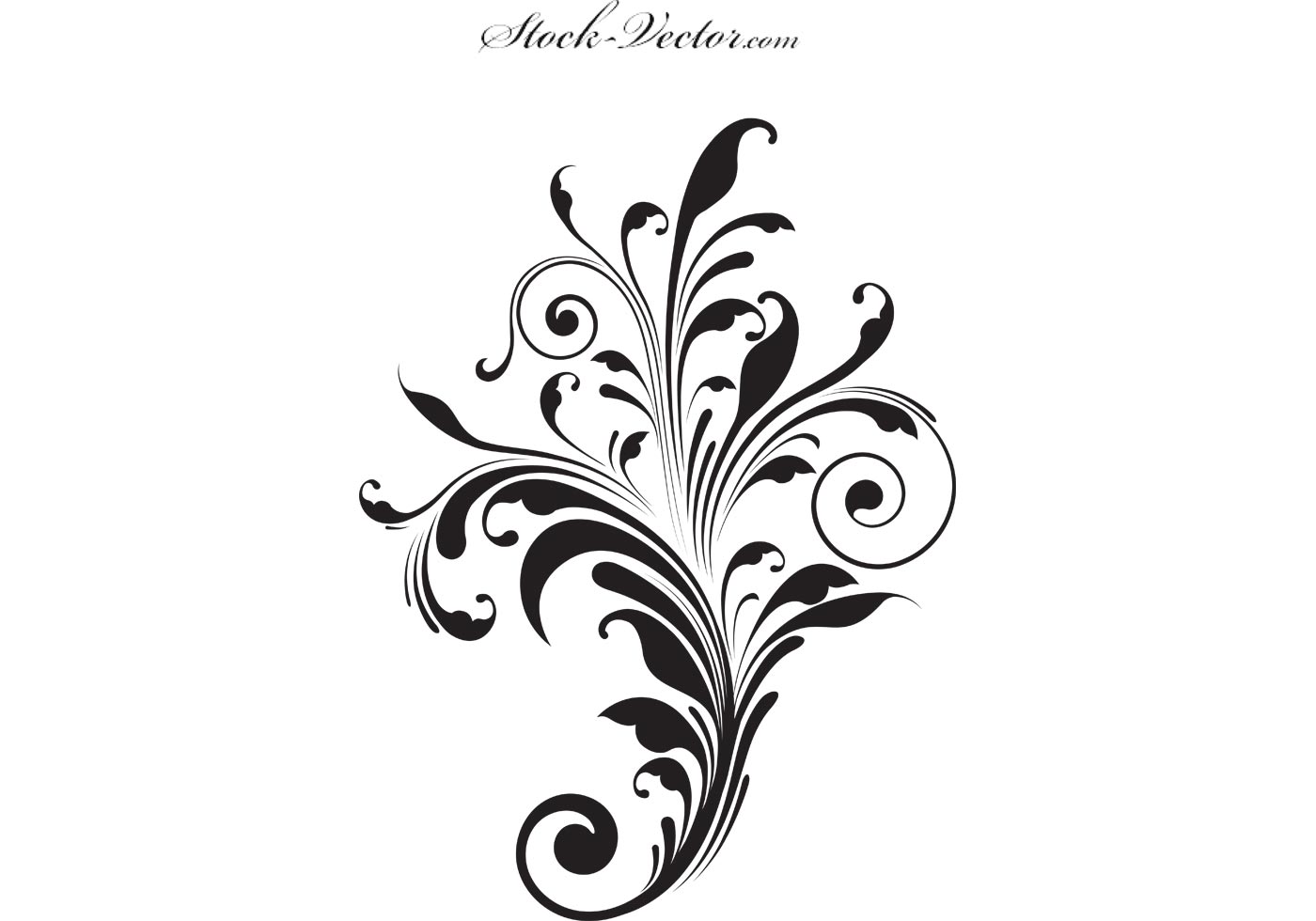 download engraved download engraved