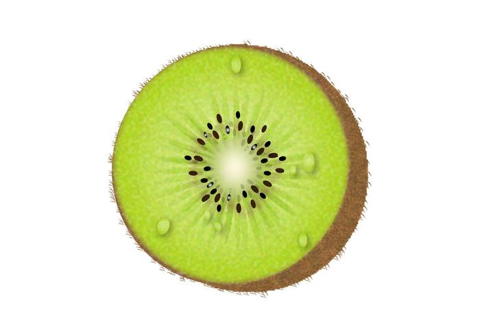 free kiwi fruit clipart - photo #32